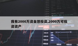 我有2000万资金想投资,2000万可投资资产