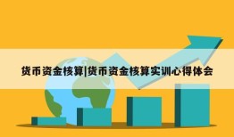 货币资金核算|货币资金核算实训心得体会