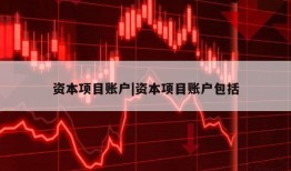 资本项目账户|资本项目账户包括