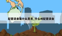 配套资金是什么意思_什么叫配套资金