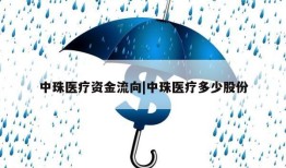 中珠医疗资金流向|中珠医疗多少股份