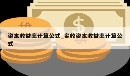 资本收益率计算公式_实收资本收益率计算公式