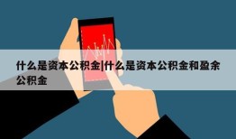 什么是资本公积金|什么是资本公积金和盈余公积金