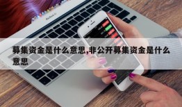 募集资金是什么意思,非公开募集资金是什么意思