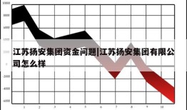 江苏扬安集团资金问题|江苏扬安集团有限公司怎么样