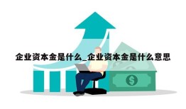 企业资本金是什么_企业资本金是什么意思