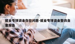 就业专项资金存在问题-就业专项资金整改自查报告