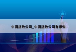 中国指数公司_中国指数公司有哪些