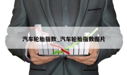 汽车轮胎指数_汽车轮胎指数图片