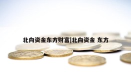 北向资金东方财富|北向资金 东方