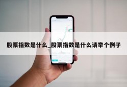 股票指数是什么_股票指数是什么请举个例子