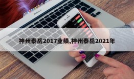 神州泰岳2017业绩,神州泰岳2021年