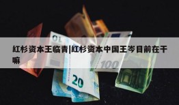 红杉资本王临青|红杉资本中国王岑目前在干嘛