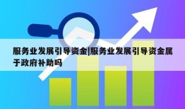 服务业发展引导资金|服务业发展引导资金属于政府补助吗