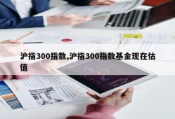 沪指300指数,沪指300指数基金现在估值