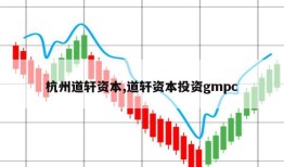 杭州道轩资本,道轩资本投资gmpc