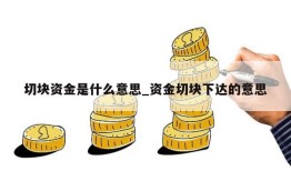 切块资金是什么意思_资金切块下达的意思