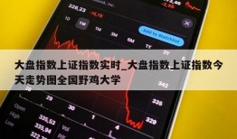 大盘指数上证指数实时_大盘指数上证指数今天走势图全国野鸡大学