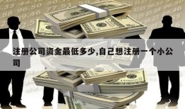 注册公司资金最低多少,自己想注册一个小公司