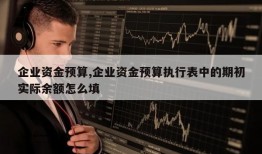 企业资金预算,企业资金预算执行表中的期初实际余额怎么填