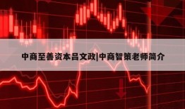 中商至善资本吕文政|中商智策老师简介