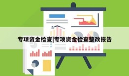 专项资金检查|专项资金检查整改报告