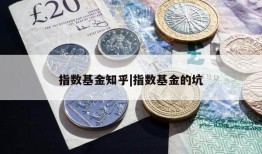 指数基金知乎|指数基金的坑