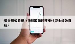 资金绩效目标（法院政法转移支付资金绩效目标）