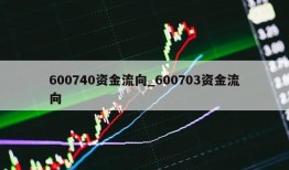 600740资金流向_600703资金流向