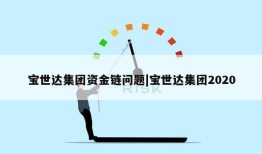 宝世达集团资金链问题|宝世达集团2020