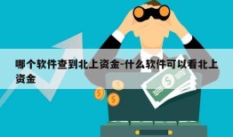 哪个软件查到北上资金-什么软件可以看北上资金