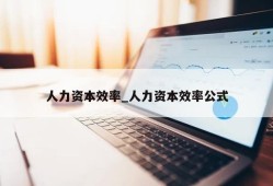 人力资本效率_人力资本效率公式