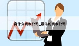 高什么资本公司_最牛的资本公司