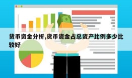 货币资金分析,货币资金占总资产比例多少比较好