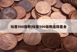 标普500指数|标普500指数追踪基金