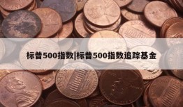 标普500指数|标普500指数追踪基金