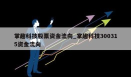 掌趣科技股票资金流向_掌趣科技300315资金流向