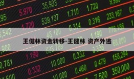 王健林资金转移-王健林 资产外逃