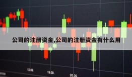 公司的注册资金,公司的注册资金有什么用