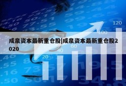 成泉资本最新重仓股|成泉资本最新重仓股2020