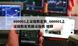 000001上证指数走势_000001上证指数走势图证指数 视频