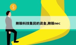 刚毅科技集团的资金,刚毅nec