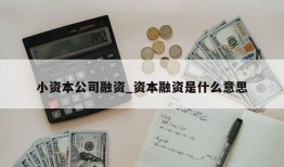 小资本公司融资_资本融资是什么意思