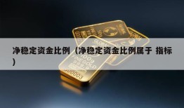 净稳定资金比例（净稳定资金比例属于 指标）