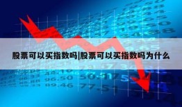 股票可以买指数吗|股票可以买指数吗为什么