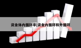 资金体内循环率|资金内循环和外循环