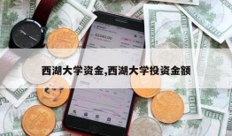 西湖大学资金,西湖大学投资金额