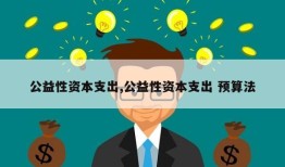 公益性资本支出,公益性资本支出 预算法