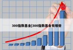 300指数基金|300指数基金有哪些