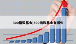 300指数基金|300指数基金有哪些